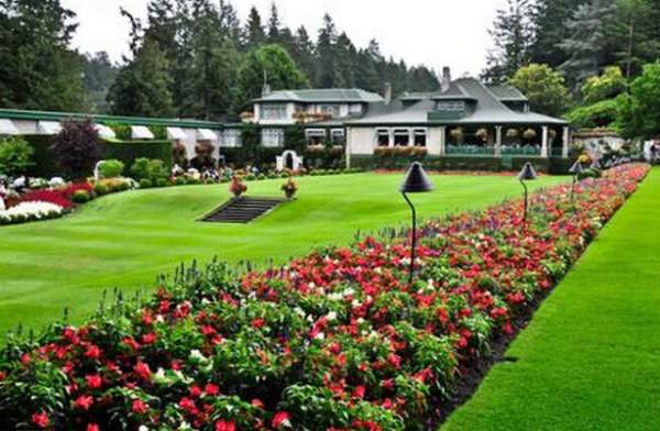 學(xué)習(xí)國外苗木行業(yè)經(jīng)驗(yàn)，搶先了解國內(nèi)市場動(dòng)態(tài)