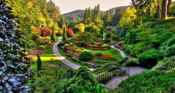 學(xué)習(xí)國外苗木行業(yè)經(jīng)驗(yàn)，搶先了解國內(nèi)市場動(dòng)態(tài)