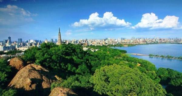 學(xué)習(xí)國外苗木行業(yè)經(jīng)驗(yàn)，搶先了解國內(nèi)市場動(dòng)態(tài)